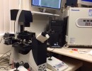new inverted microscope leica dmi with micromanipulators for icsi procedure