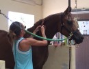 swimmer ld pistol with ashley getting some tlc